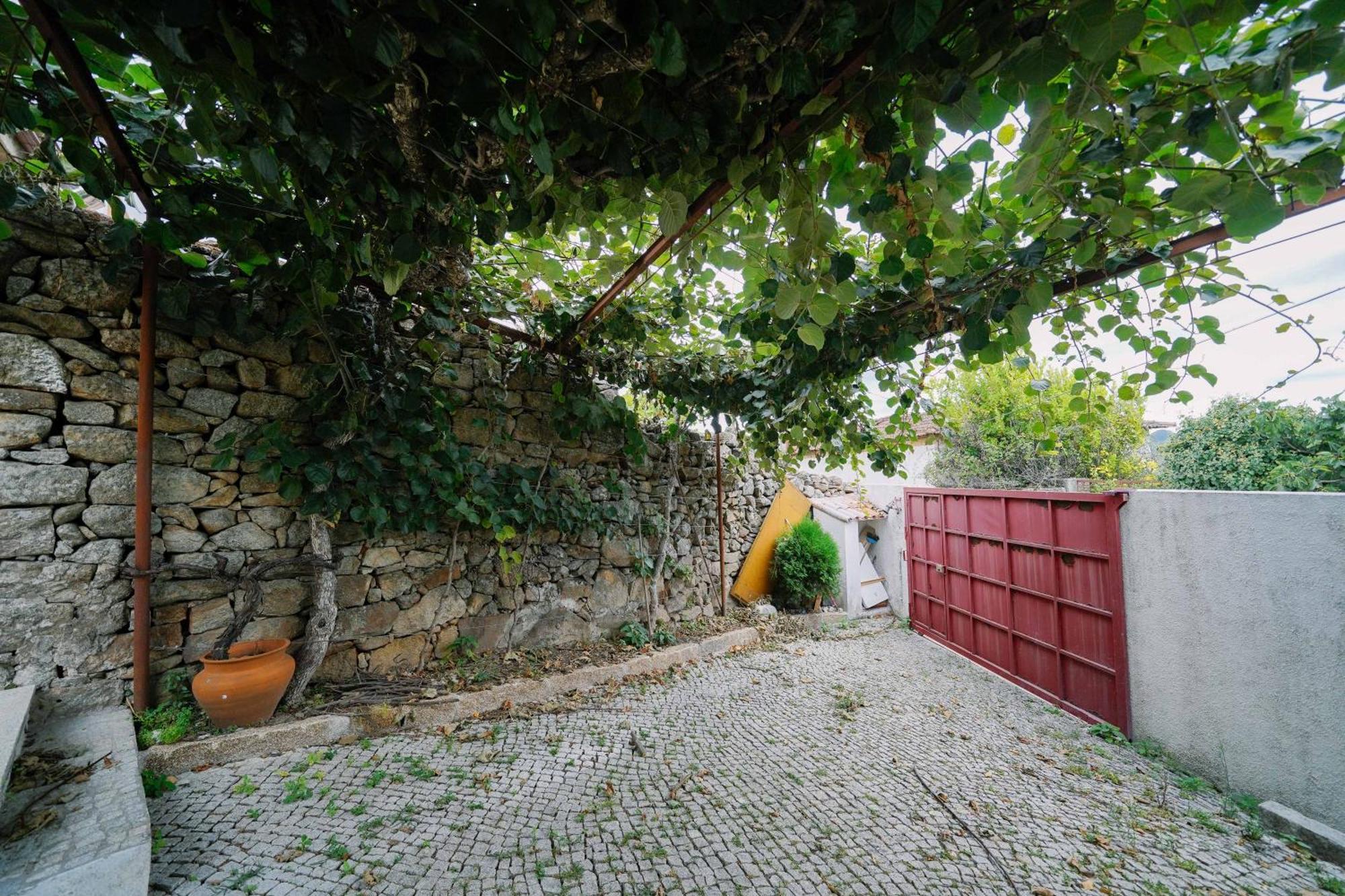 Martinho'S House Apartment Alijó Exterior foto